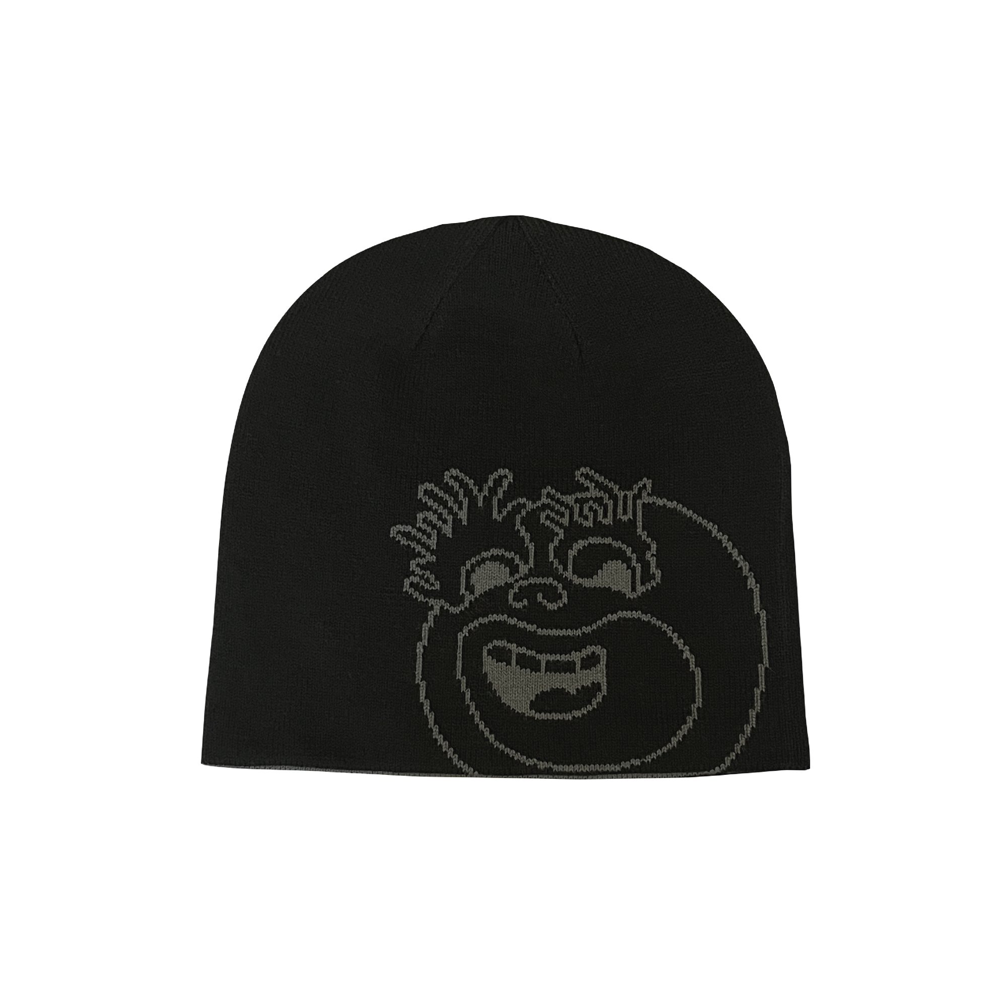 reversible beanie | havefungoods